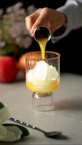 fruit juice recipes pdf