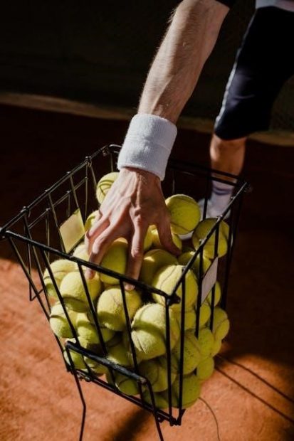 ademco alarm manual